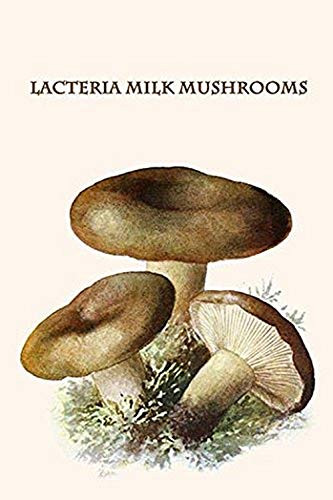 Buyenlarge 0-587-30052-3-G1624 lacteria Milk Mushrooms Fine Art Giclee Print, 16" x 24"