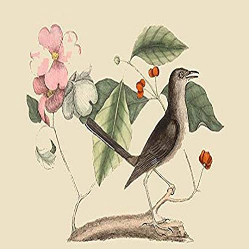 Buyenlarge 0-587-30595-9-G1827 'Mocking Bird' Giclee Fine Art Print, 18" x 27"