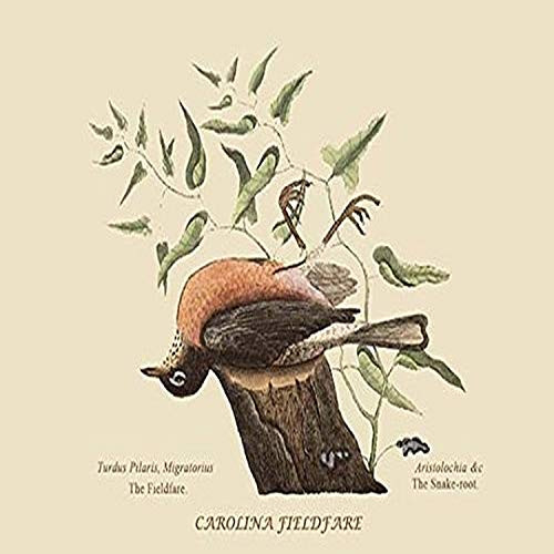Buyenlarge 0-587-30600-9-G1827 'Carolina Filedfare' Giclee Fine Art Print, 18" x 27"