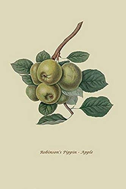 Buyenlarge 0-587-30866-4-G1624 Robinson's Pippin Apple Fine Art Giclee Print, 16" x 24" Buyenlarge 0-587-30866-4-G1624 Robinson's Pippin Apple Fine Art Giclee Print, 16" x 24"