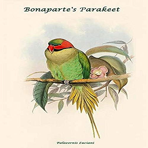 Buyenlarge 0-587-31895-3-G1827 'Palaeornis Luciani-Bonaparte's Parakeet' Giclee Fine Art Print, 18" x 27" Buyenlarge 0-587-31895-3-G1827 'Palaeornis Luciani-Bonaparte's Parakeet' Giclee Fine Art Print, 18" x 27"