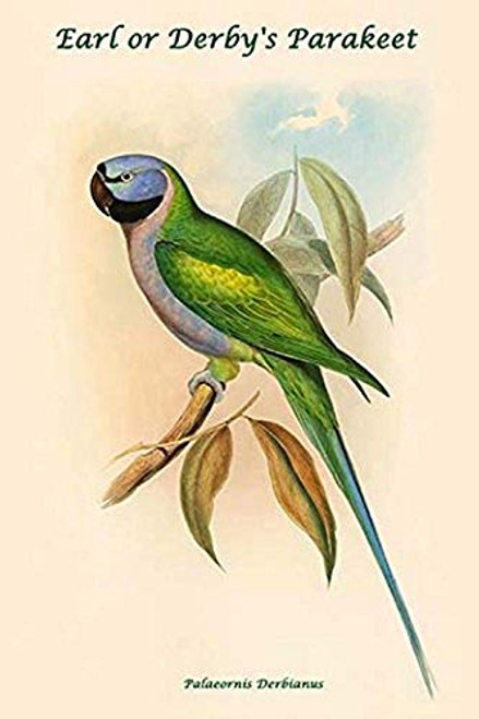 Buyenlarge 0-587-31900-3-G1827 'Palaeornis Derbianus-Earl or Derby's Parakeet' Giclee Fine Art Print, 18" x 27" Buyenlarge 0-587-31900-3-G1827 'Palaeornis Derbianus-Earl or Derby's Parakeet' Giclee Fine Art Print, 18" x 27"