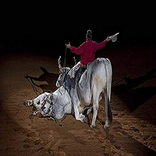 Buyenlarge 0-587-33149-6-G1827 'Trick Riding' Giclee Fine Art Print, 18" x 27" Buyenlarge 0-587-33149-6-G1827 'Trick Riding' Giclee Fine Art Print, 18" x 27"