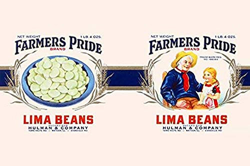 Buyenlarge Farmer's Pride Lima Beans - 18" X 27" Paper Poster. (Edition 13033),