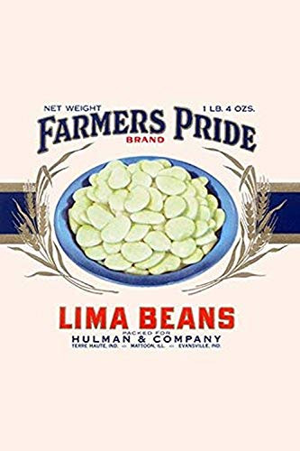 Buyenlarge 0-587-33466-5-G1624 Farmer's Pride Lima Beans Fine Art Giclee Print, 16" x 24"