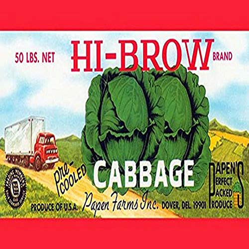 Buyenlarge Hi-Brow Cabbage - 8" X 12" Fine Art Giclee Print
