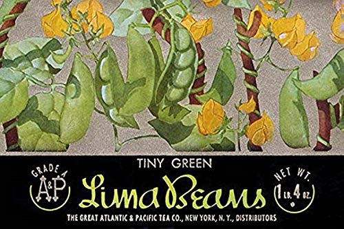 Buyenlarge 0-587-33487-8-G1624 Tiny Green Lima Beans Fine Art Giclee Print, 16" x 24"