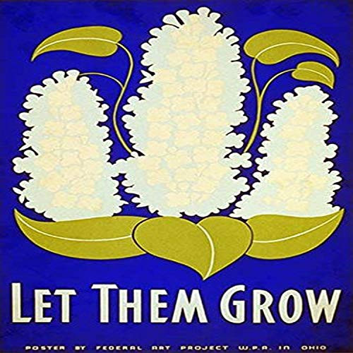Buyenlarge Let Them Grow - 8" X 12" Fine Art Giclee Print