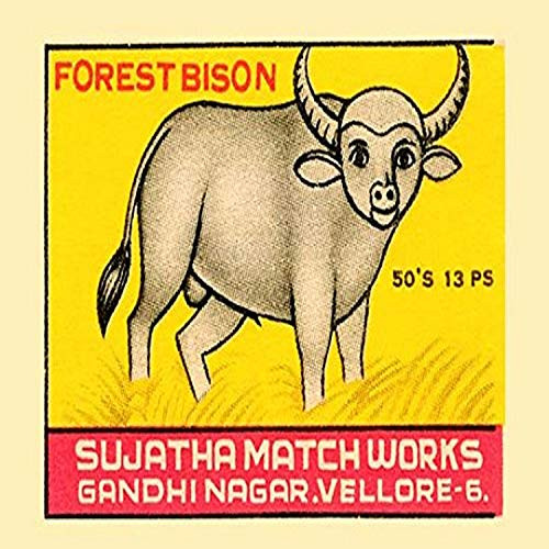 Buyenlarge 0-587-33782-6-G1827 'Forest Bison' Giclee Fine Art Print, 18" x 27"