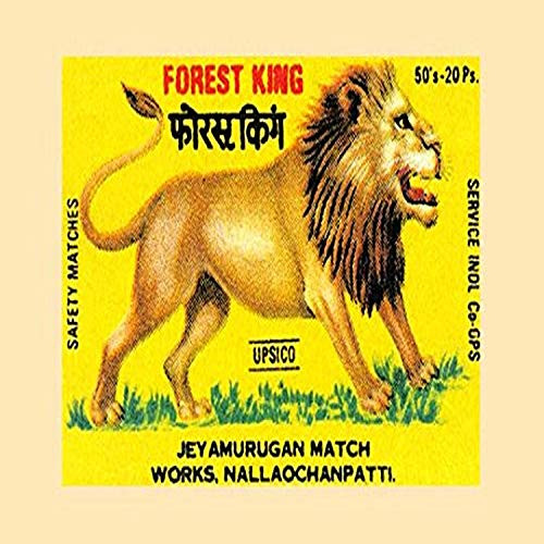 Buyenlarge 0-587-33801-6-G1827 'Forest King' Giclee Fine Art Print, 18" x 27"