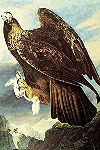 Buyenlarge 0-587-53548-L-G1624 Golden Eagle Fine Art Giclee Print (Edition 6126), 16" x 24"