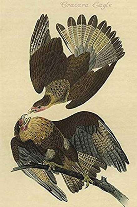 Buyenlarge 0-587-64692-L-G1624 Cracara Eagle Fine Art Giclee Print, 16" x 24"