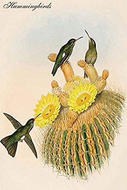 Buyenlarge 0-587-64767-L-G1624 Hummingbirds Fine Art Giclee Print (Edition 6591), 16" x 24" Buyenlarge 0-587-64767-L-G1624 Hummingbirds Fine Art Giclee Print (Edition 6591), 16" x 24"