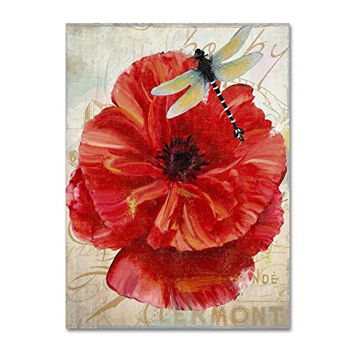 Le Pavot Dragonfly by Color Bakery, 14x19-Inch Canvas Wall Art