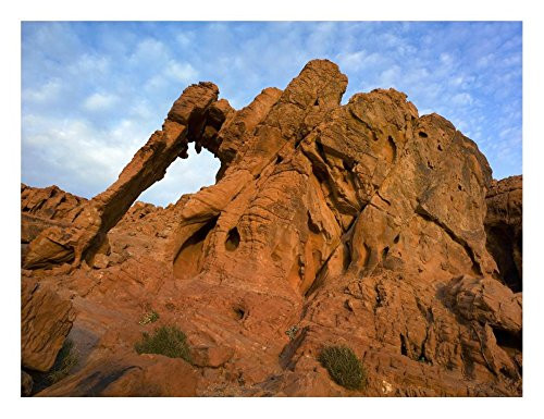 Global Gallery Art on a Budget DP-396953-1824 Tim Fitzharris Elephant Rock A Unique Sandstone Formation Valley of Fire State Park Nevada Unframed Gicl