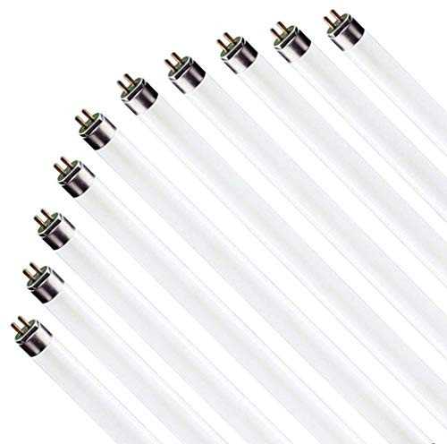 (10 Pack) F17T8/841 17W 24 Inch T8 Fluorescent Tube Light Bulb, 4100K Cool White, Medium Bi-Pin (G13) Base, 17 Watt T8 Light Bulbs (10 Pack) F17T8/841 17W 24 Inch T8 Fluorescent Tube Light Bulb, 4100K Cool White, Medium Bi-Pin (G13) Base, 17 Watt T8 Light Bulbs