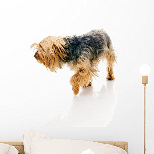 Wallmonkeys FOT-25846105-18 WM359661 Dog Peel and Stick Wall Decals H x 18 in W, 18" 18" W-Small
