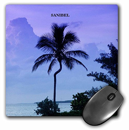 3dRose LLC 8 x 8 x 0.25 Inches Sanibel Island Palm Mouse Pad (mp_62203_1)