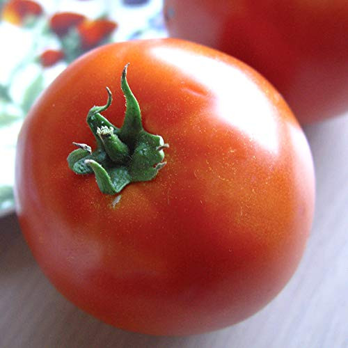 Burpee 'Thessaloniki'Heriloom | Red Beefsteak Slicing Tomato | 30 Seeds