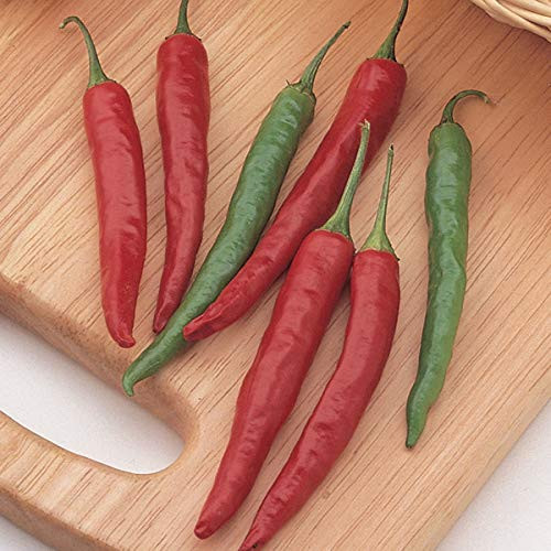 Burpee Big Thai Hybrid Hot Pepper Seeds 75 seeds