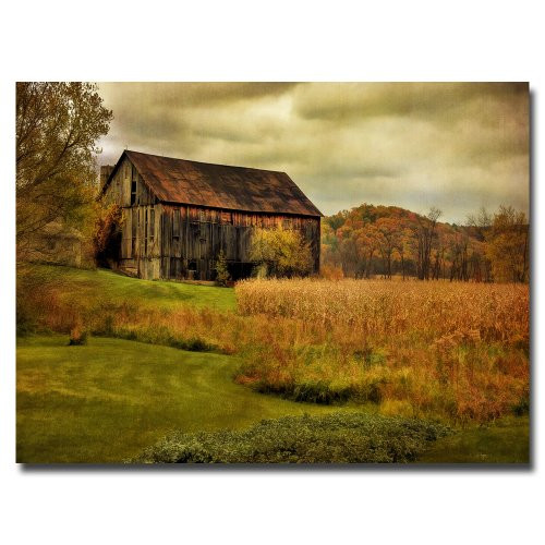 Old Barn on Rainy Day by Lois Bryan, 16x24-Inch Canvas Wall Art