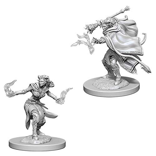 WizKids D&D Nolzur's Marvelous Miniatures: Female Tiefling Warlock. WizKids D&D Nolzur's Marvelous Miniatures: Female Tiefling Warlock.
