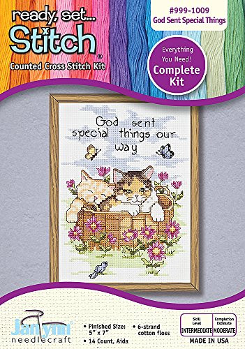 The Janlynn Corporation Ready, Set...Stitch "God Sent Special Things" Counted Cross Stitch Kit