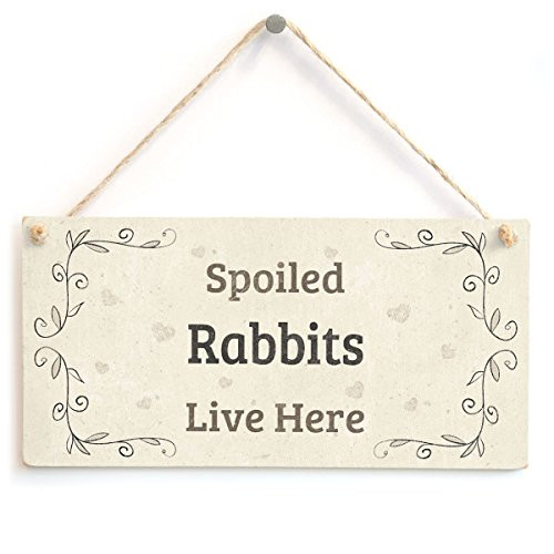 Meijiafei Spoiled Rabbits Live Here - Beautiful Home Accessory Gift Sign for Rabbit Owners 10"x5"