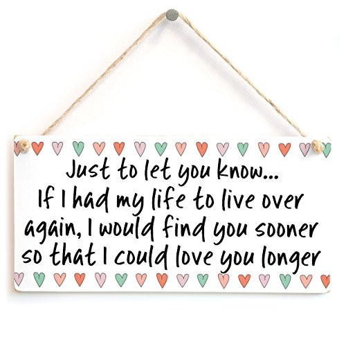 Meijiafei Just to let You Know. If I had My Life to Live Over Again, I Would find You Sooner so That I Could Love You Longer - Beautiful Sign 10"x5"