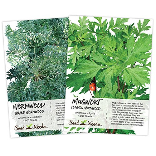 Wormwood Seed Duo, (2 Individual Seed Packets) Non-GMO Seeds by Seed Needs