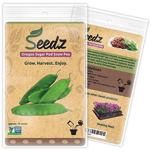 CERTIFIED ORGANIC SEEDS (Appr. 75) - Oregon Sugar Pod Snow Pea Seeds - Open Pollinated Vegetable Seeds - Organic, Non Hybrid Garden Seeds - USA