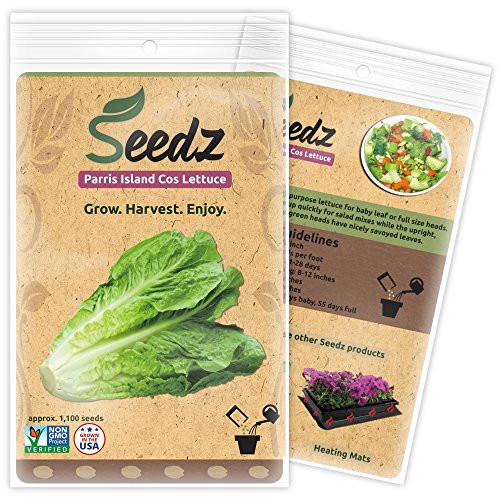 Certified Organic Seeds (Apr. 1,100) - Parris Island Romaine Lettuce - Heirloom Lettuce Seeds - Non GMO, Non Hybrid Vegetable Seeds - USA