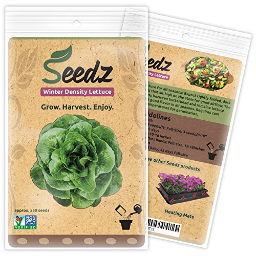 Certified Organic Seeds (APPR. 550) - Winter Density Lettuce Seeds - Open Pollinated Vegetable Seeds - Organic, Non Hybrid Garden Seeds - USA