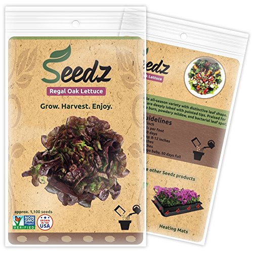 CERTIFIED ORGANIC SEEDS (Apr. 1,100) - Regal Oak Lettuce - Heirloom Lettuce Seeds - Non GMO, Non Hybrid Vegetable Seeds - USA