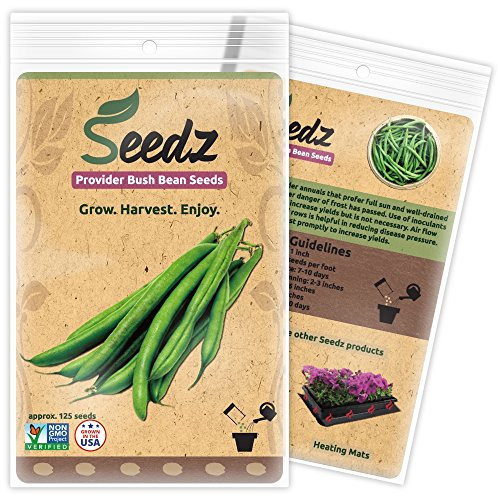 CERTIFIED ORGANIC SEEDS (Appr. 125) - Green Bean Seeds - Heirloom Seeds Beans Collection - Non GMO, Non Hybrid, USA CERTIFIED ORGANIC SEEDS (Appr. 125) - Green Bean Seeds - Heirloom Seeds Beans Collection - Non GMO, Non Hybrid, USA