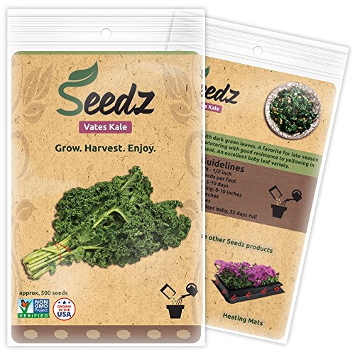 CERTIFIED ORGANIC SEEDS (Apr. 500) - Organic Vates Kale Seeds - Heirloom Seeds - Kale Vegetable Seeds - Non GMO, Non Hybrid - USA