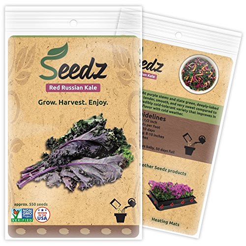 CERTIFIED ORGANIC SEEDS (Apr. 550) - Red Russian Kale Seeds - Heirloom Seeds - Kale Vegetable Seeds - Non GMO, Non Hybrid - USA