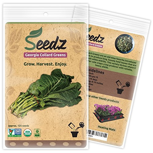 CERTIFIED ORGANIC SEEDS (Appr. 125) - Georgia Collard Greens - Heirloom Seeds - Collard Green Seeds - Non GMO, Non Hybrid Vegetable Seeds - USA CERTIFIED ORGANIC SEEDS (Appr. 125) - Georgia Collard Greens - Heirloom Seeds - Collard Green Seeds - Non GMO, Non Hybrid Vegetable Seeds - USA