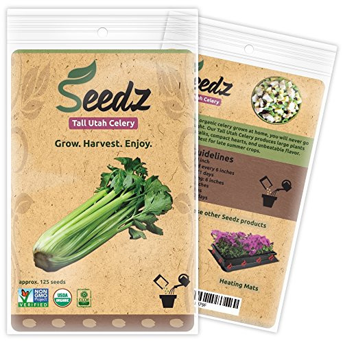 CERTIFIED ORGANIC SEEDS (Appr. 125) - Tall Utah Celery Seed - Celery Seeds, Open Pollinated - Non GMO, Non Hybrid Vegetable Seeds - USA