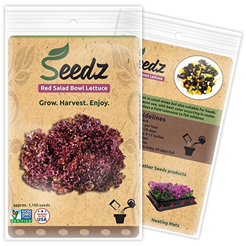 CERTIFIED ORGANIC SEEDS (Apr. 1,100) - Red Salad Bowl Lettuce - Heirloom Lettuce Seeds - Non GMO, Non Hybrid Vegetable Seeds - USA