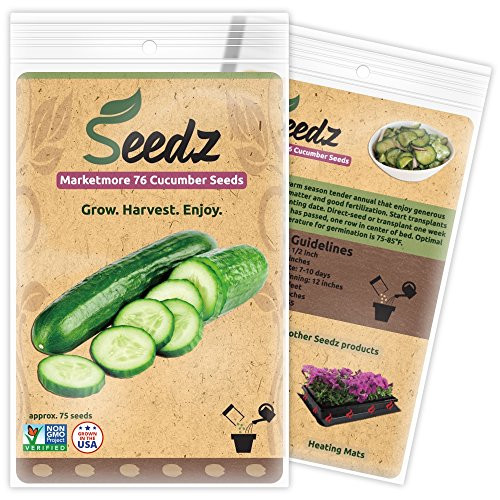 CERTIFIED ORGANIC SEEDS (Approx. 75) - Organic Cucumber Seeds - Heirloom Quality - Non GMO, Non Hybrid Seeds - USA