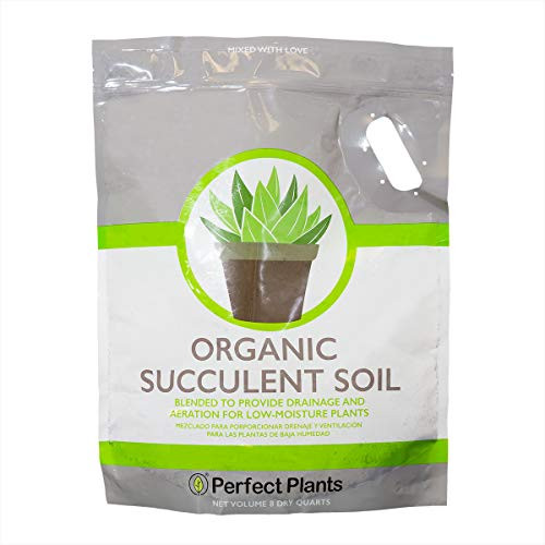 Succulent & Cactus Soil Mix by Perfect Plants (8QTS)