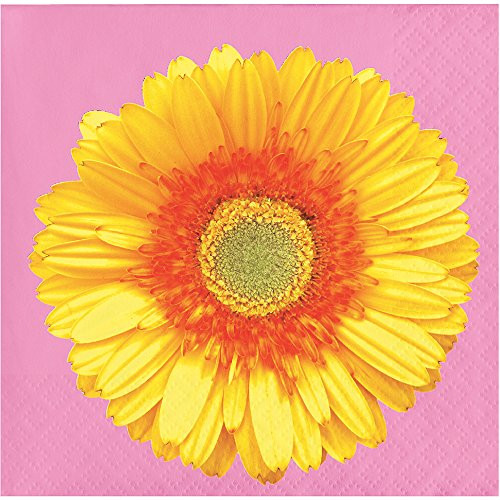 Creative Converting 327127 Beverage Napkins, Multicolor