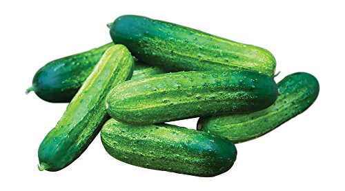 Burpee Pick-A-Bushel Pickling Cucumber Seeds 30 seeds