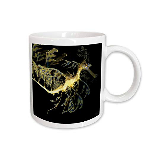 3dRose Leafy Sea Dragon Seahorse Phycodurus Eques Mug, 11-Ounce