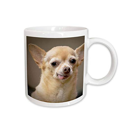 3dRose Toothless Chihuahua Dog, Santa Fe, New Mexico, Ceramic Mug, 11-Oz 3dRose Toothless Chihuahua Dog, Santa Fe, New Mexico, Ceramic Mug, 11-Oz