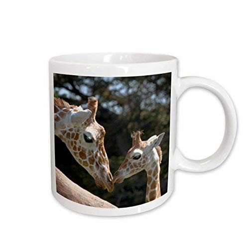 3dRose Reticulated Giraffes, San Francisco Zoo, CA US05 TAU0050 Tananarive Aubert Mug, 11-Ounce