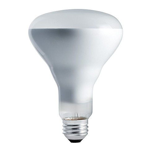Philips 248849 - 65BR30/FL55 130V BR30 Reflector Flood Light Bulb