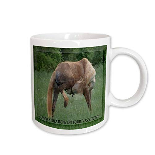 3dRose Funny Horse Green Background Congratulations on Vasectomy Ceramic Mug, 11-Ounce