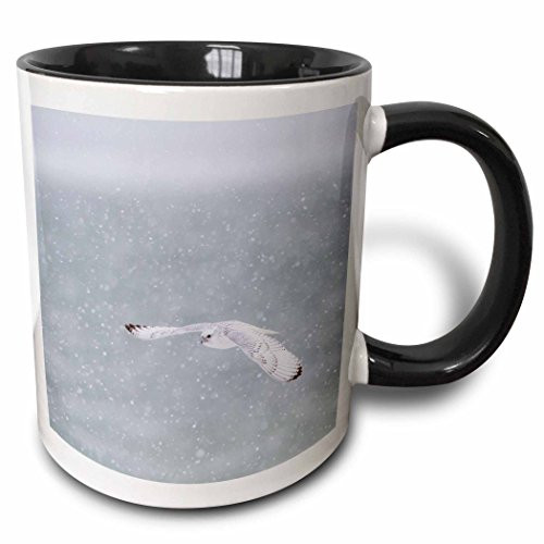 3dRose Central California Coast Mug, 11 oz, Black